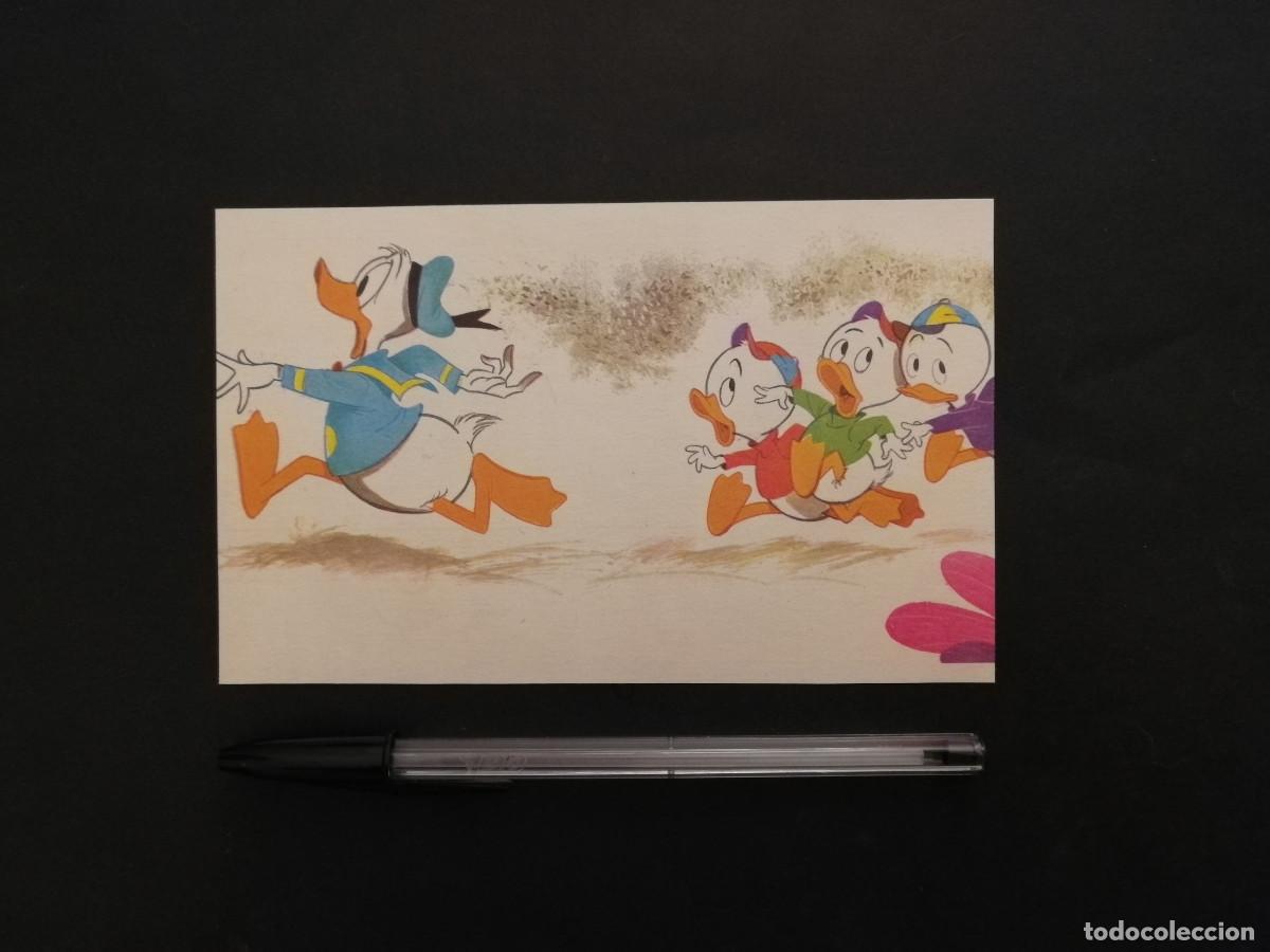 Cine: TARJETA ACARTONADA -10*15- PATO DONALD - WALT DISNEY