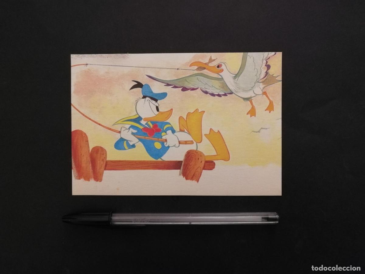 Cine: TARJETA ACARTONADA -10*15- PATO DONALD - WALT DISNEY