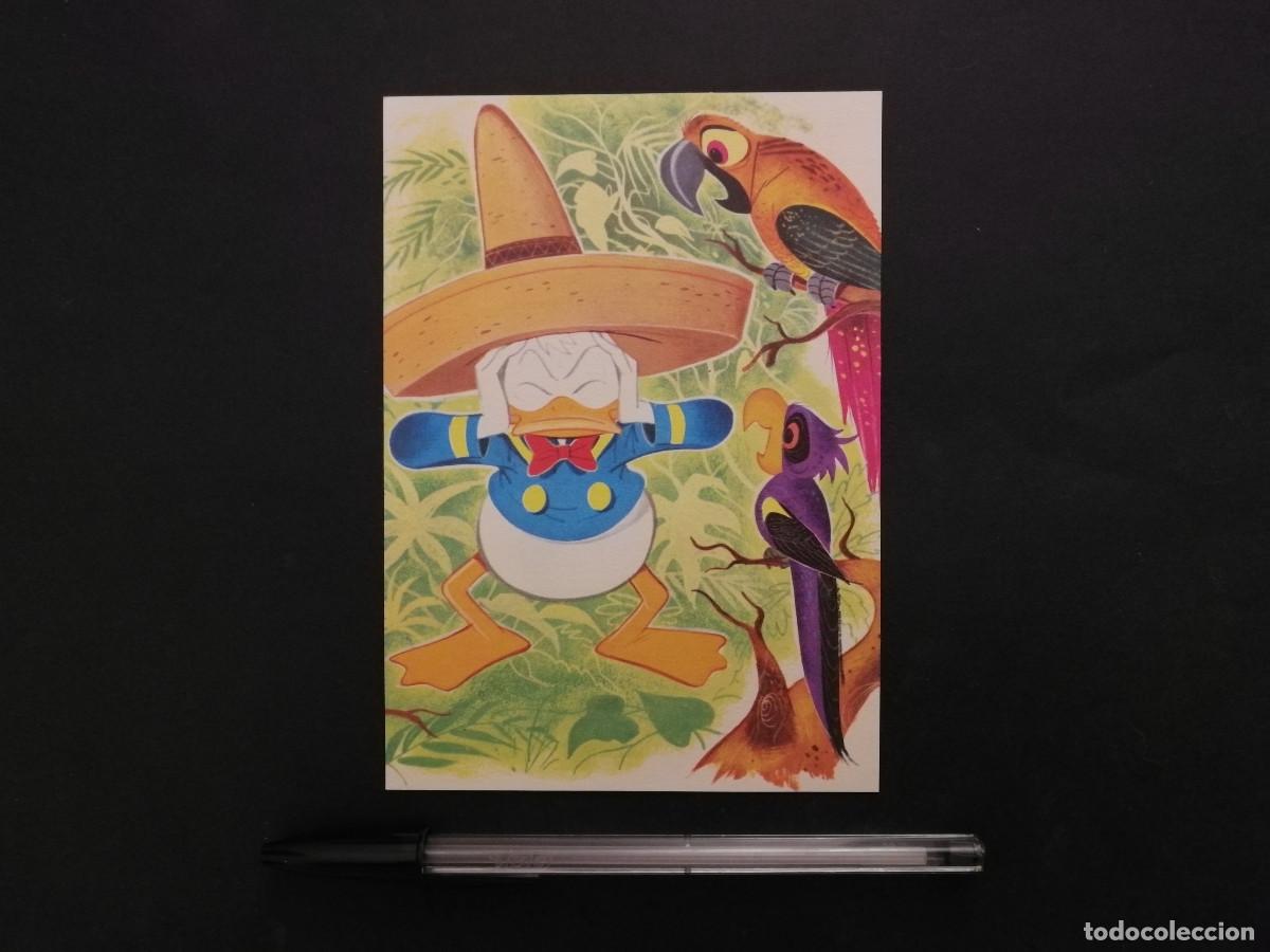 Cine: TARJETA ACARTONADA -10*15- PATO DONALD - WALT DISNEY