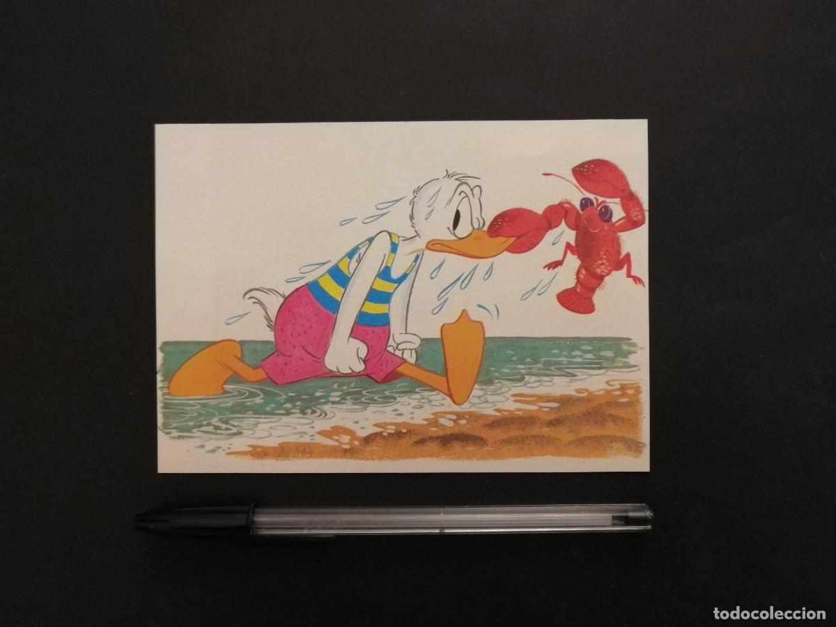 Cine: TARJETA ACARTONADA -10*15- PATO DONALD PLAYA - WALT DISNEY
