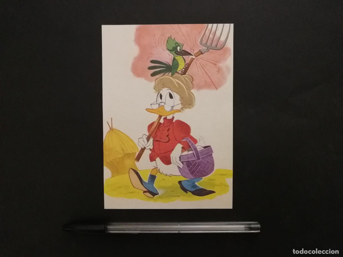 Cine: TARJETA ACARTONADA -10*15- Abuela Pata Grandma Duck - WALT DISNEY