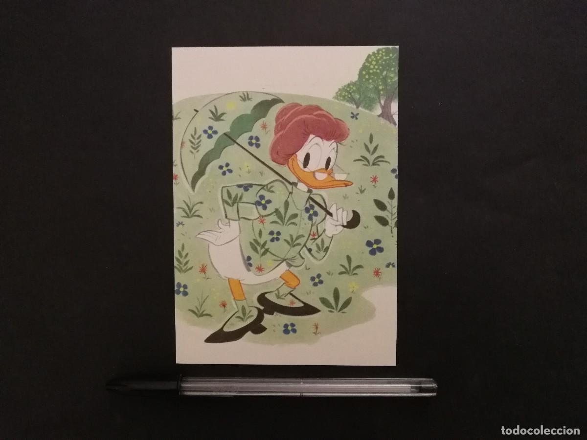 Cine: TARJETA ACARTONADA -10*15- Abuela Pata Grandma Duck - WALT DISNEY