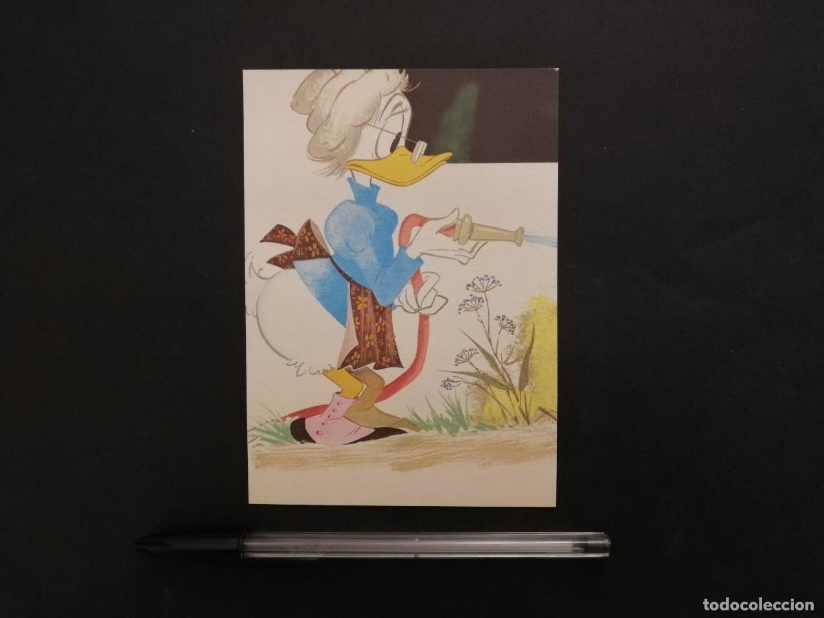 Cine: TARJETA ACARTONADA -10*15- Abuela Pata Grandma Duck - WALT DISNEY