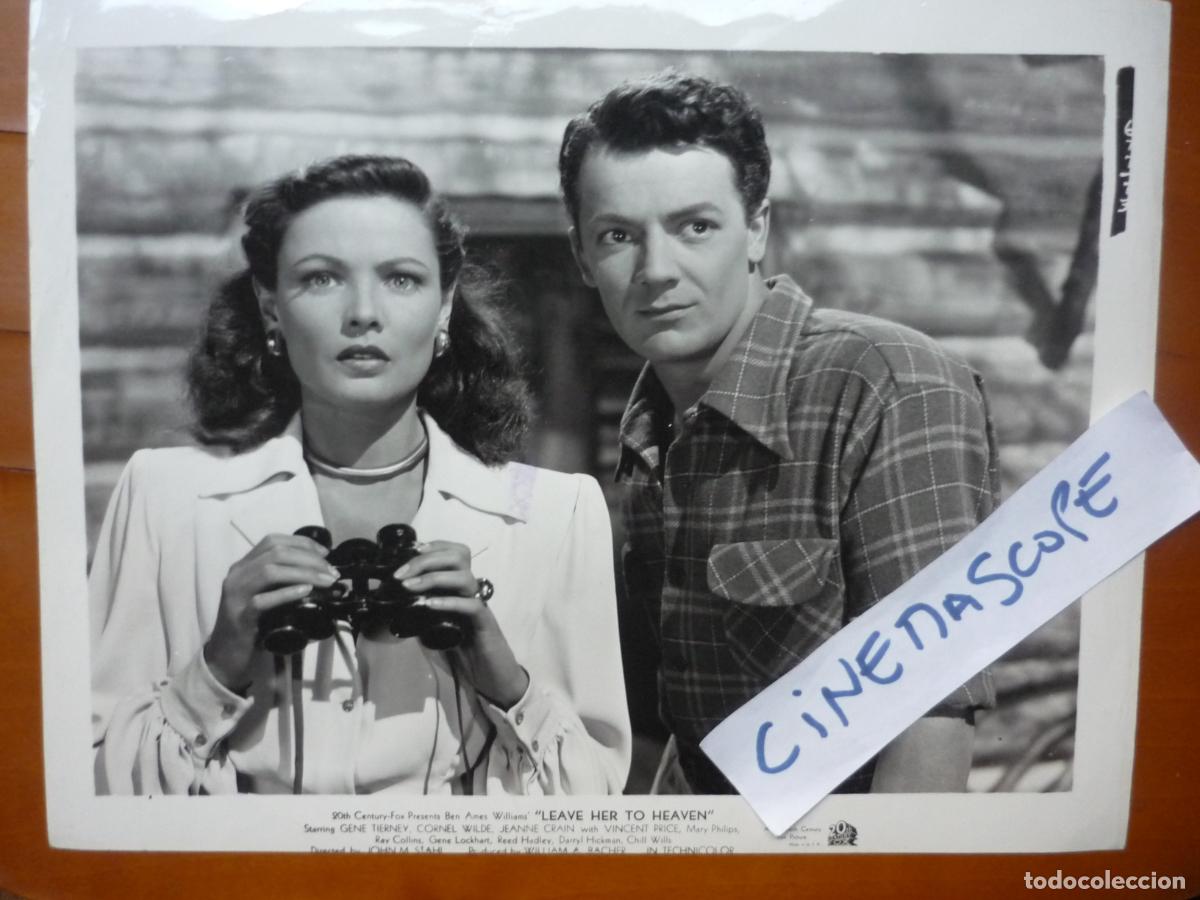 Cine: que el cielo la juzgue - foto original b/n - gene tierney cornel wilde - Leave Her to Heaven