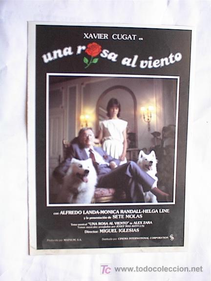 Cine: UNA ROSA AL VIENTO - Foto 1