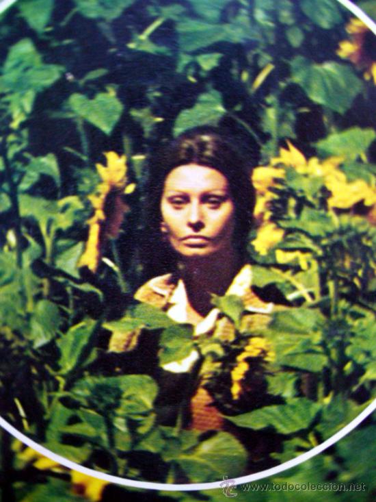 Cine: GUIA PUBLICITARIA, GUIA DE CINE, LOS GIRASOLES, MERCURIO FILMS, SOFIA LOREN, MARCELLO MASTRONIANNI