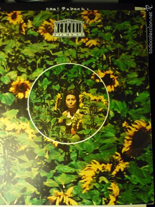 Cine: GUIA 8 PAG. LOS GIRASOLES.-SOFIA LOREN