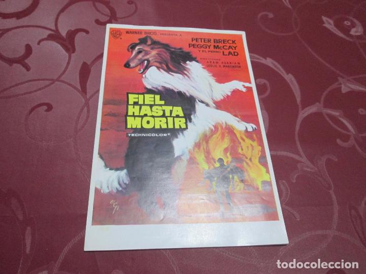 Cinema: FIEL HASTA MORIR - PETER BRECK - WB