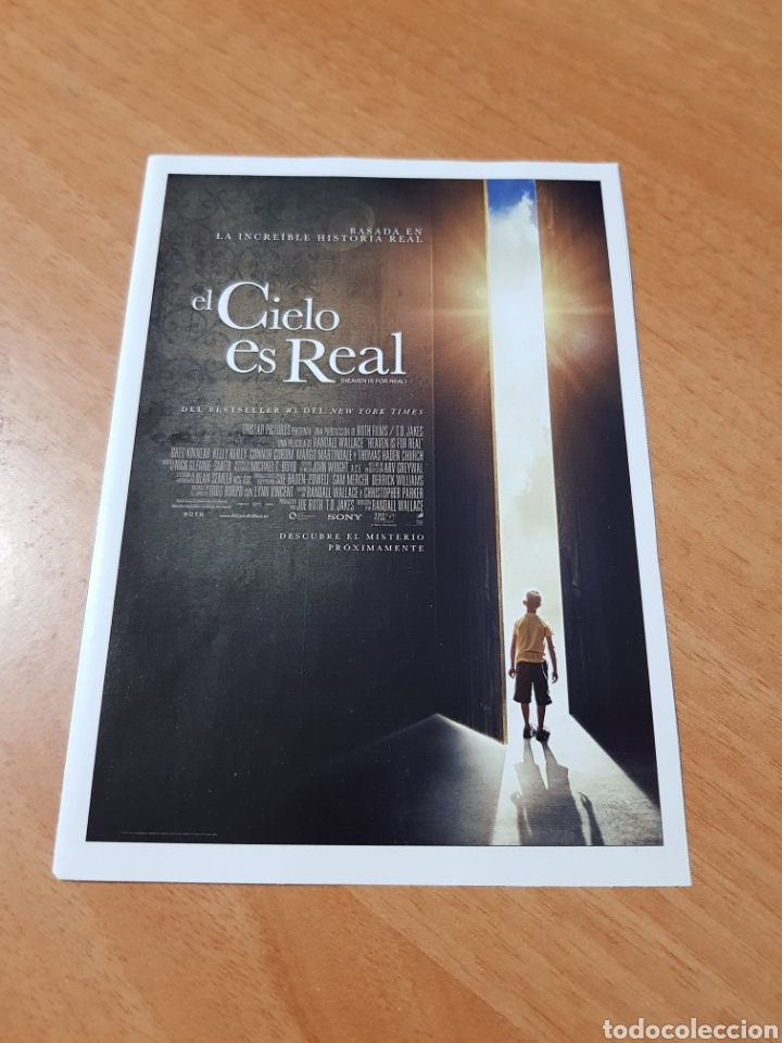 Cinema: ( micro gu&iacute;a n&deg; 12 ) el cielo es real