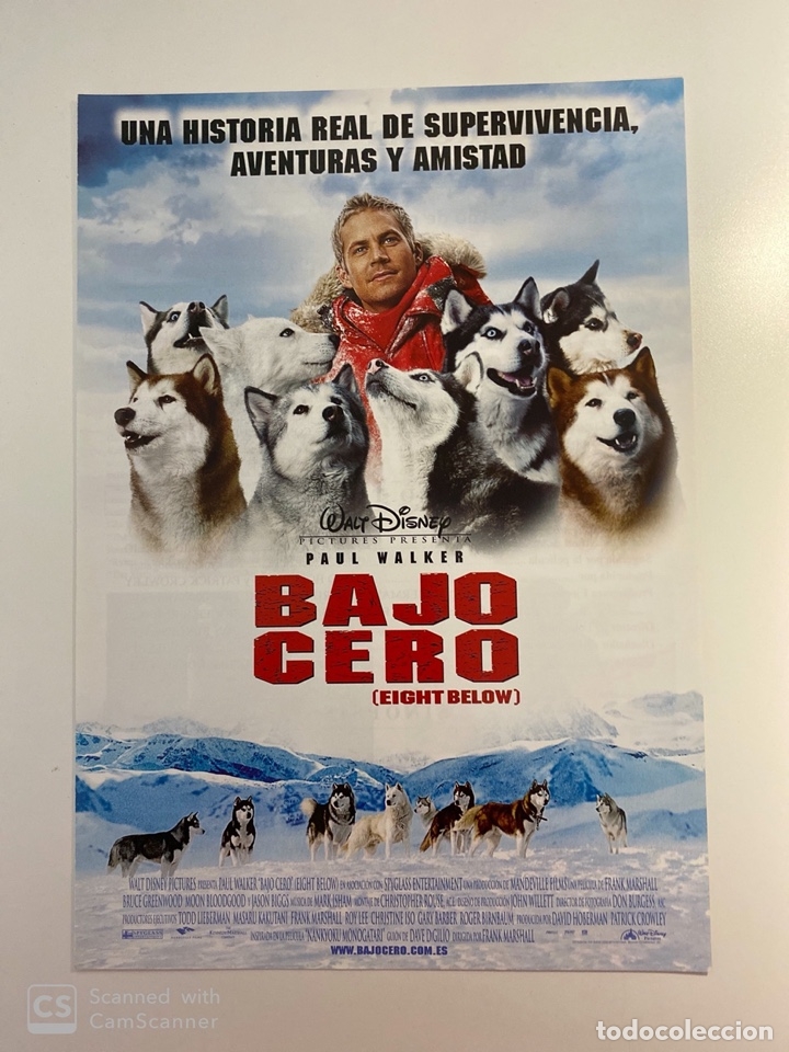 Cine: GUIA DE CINE. BAJO CERO. PAUL WALKER. WALT DISNEY. VER FOTOS