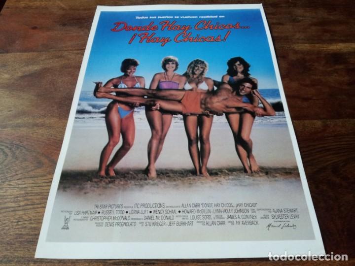 Cinema: Donde hay chicos hay chicas - lisa hartman, russell todd, lorna luft - guia original m.salvador 1985