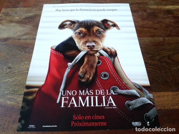 Cine: Uno m&aacute;s de la familia - Ashley Judd, Jonah Hauer-King, Alexandra Shipp - guia original sony 2019
