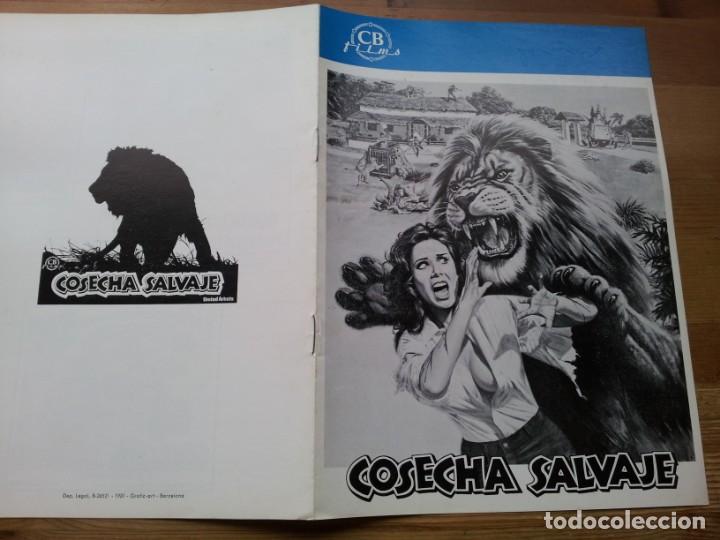 Kino: Cosecha salvaje - Tom Skerritt, Michelle Phillips, Shawn Stevens - guia original cb films 1981