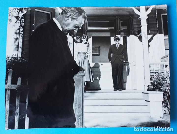 Cine: FOTOGRAMA ORIGINAL DE CINE . FILMS.S.A . AS. AL ESTE DEL EDEN. JAMES DEAN