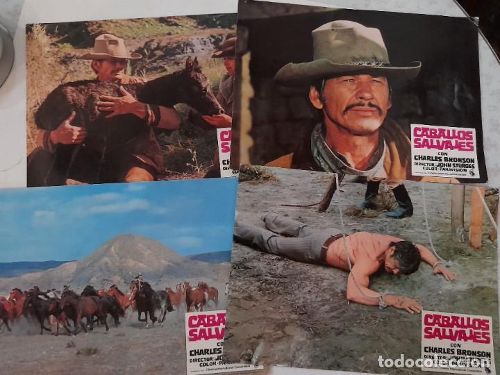 Kino: Lote 4 gu&iacute;as publicitarias de la pel&iacute;cula Caballos salvajes de Charles Bronson