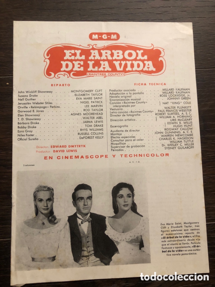 Cine: Guia MGM el &aacute;rbol de la vida Elizabeth taylor Montgomery clift 7