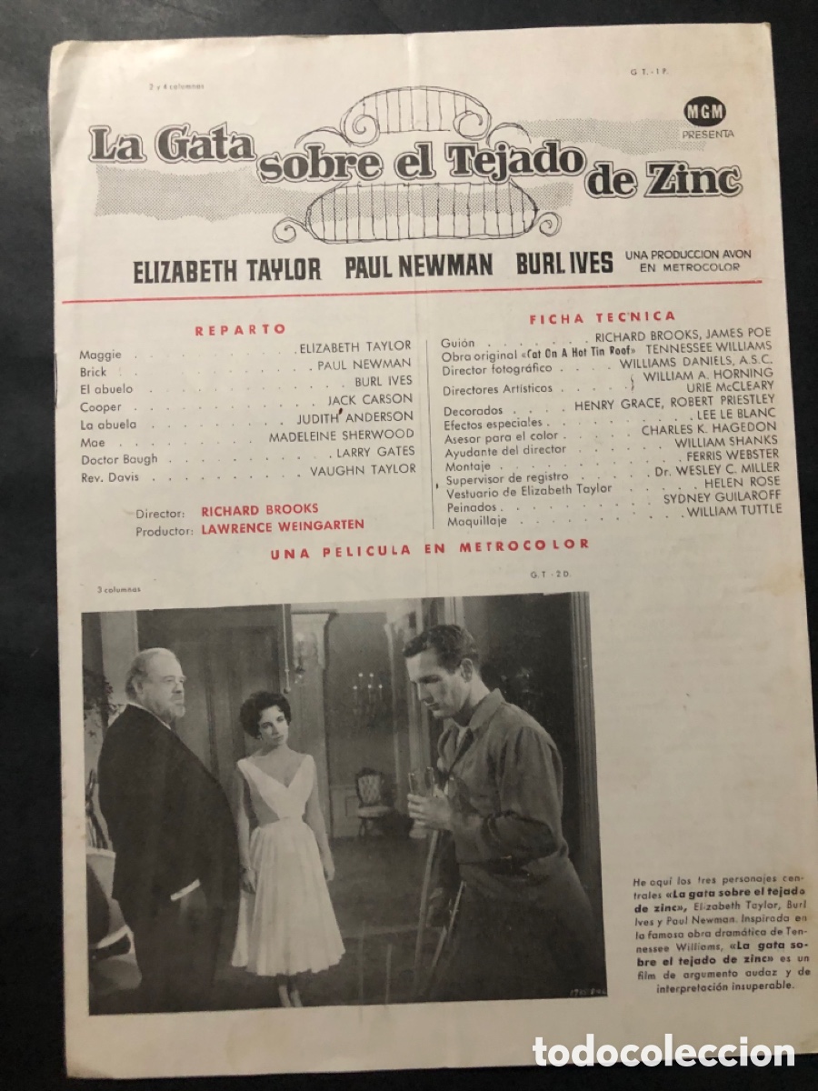 Cine: Guia MGM la gata sobre el tejado de zinc elizabeth taylor paul newman 14