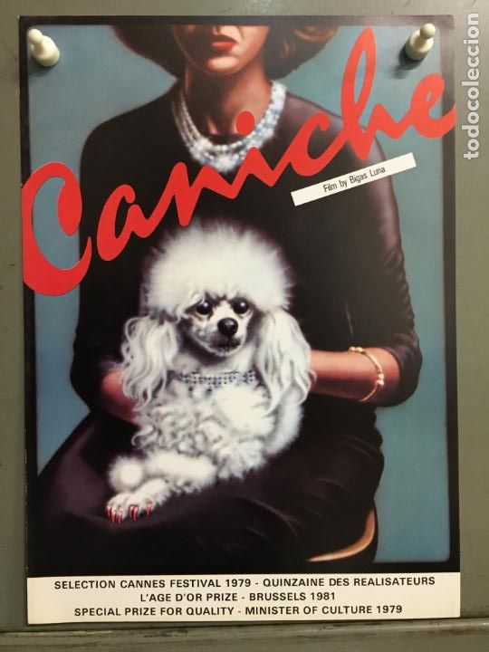 Cinema: G9691 CANICHE BIGAS LUNA GUIA ORIGINAL ESTRENO