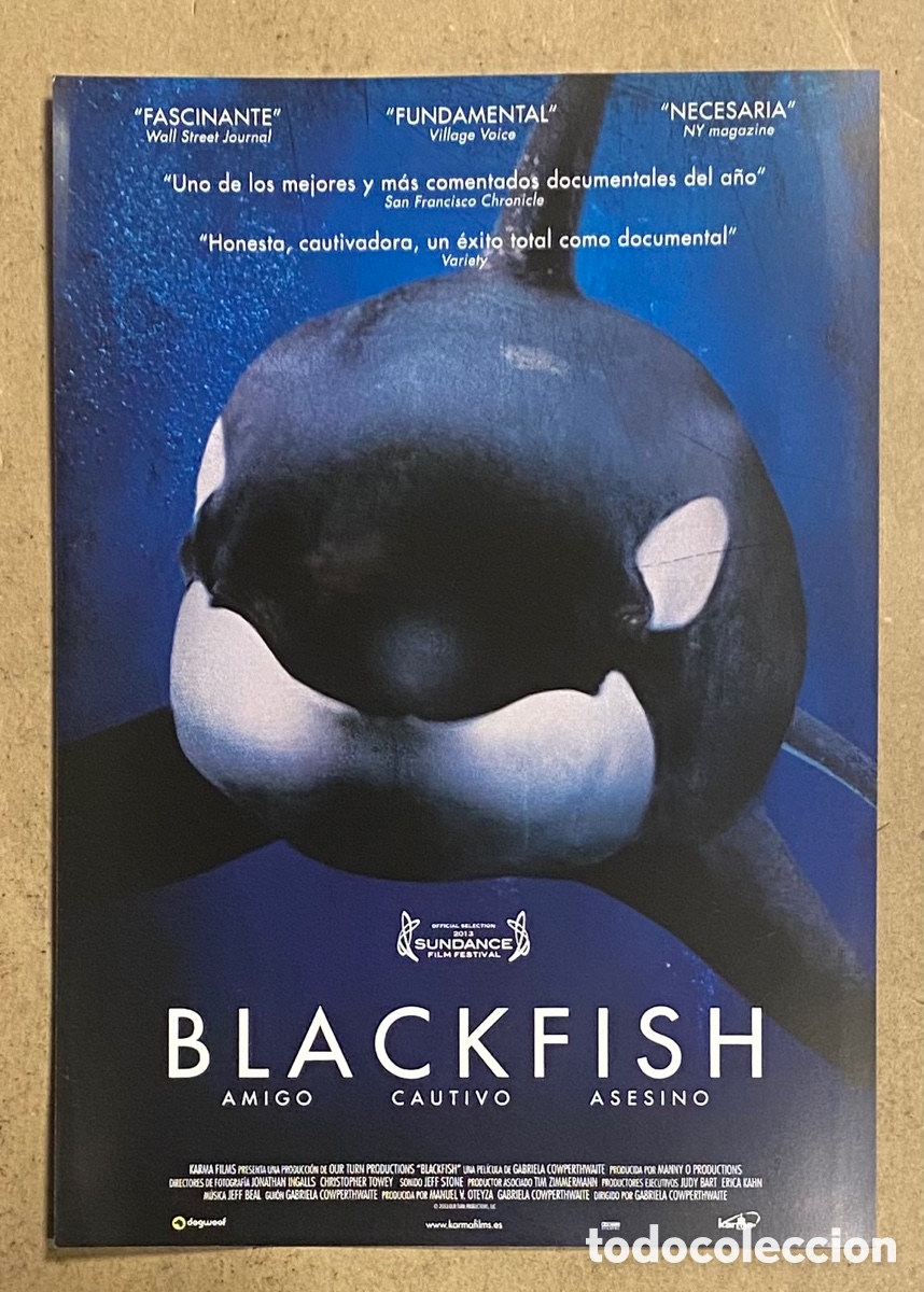 Cinema: BLACKFISH. GU&Iacute;A PROMOCIONAL DE LA PEL&Iacute;CULA.