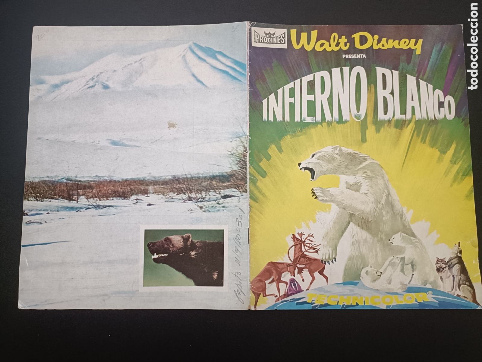 Cinema: INFIERNO BLNACO - WALT DISNEY PROCINES - TIPO DOCUMENTAL - GUIA DE CINE ORIGINAL B95