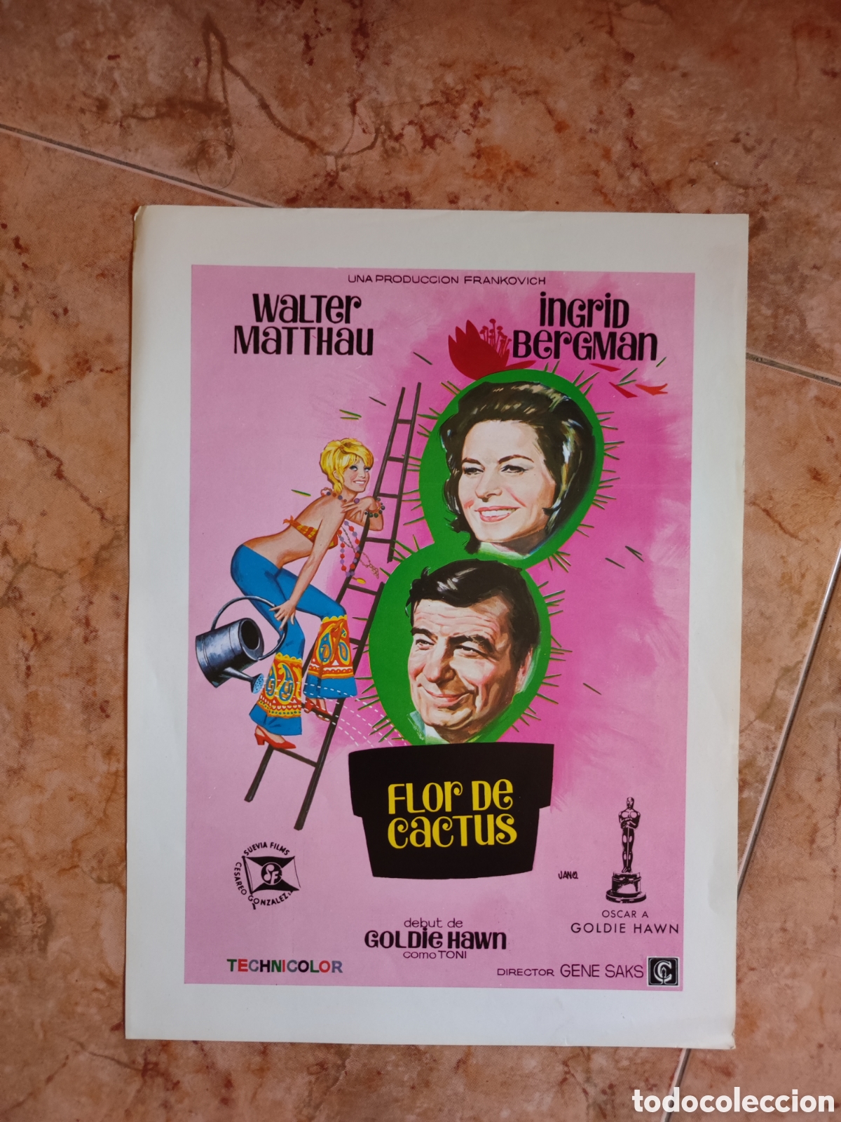 Cinema: Flor de cactus ........