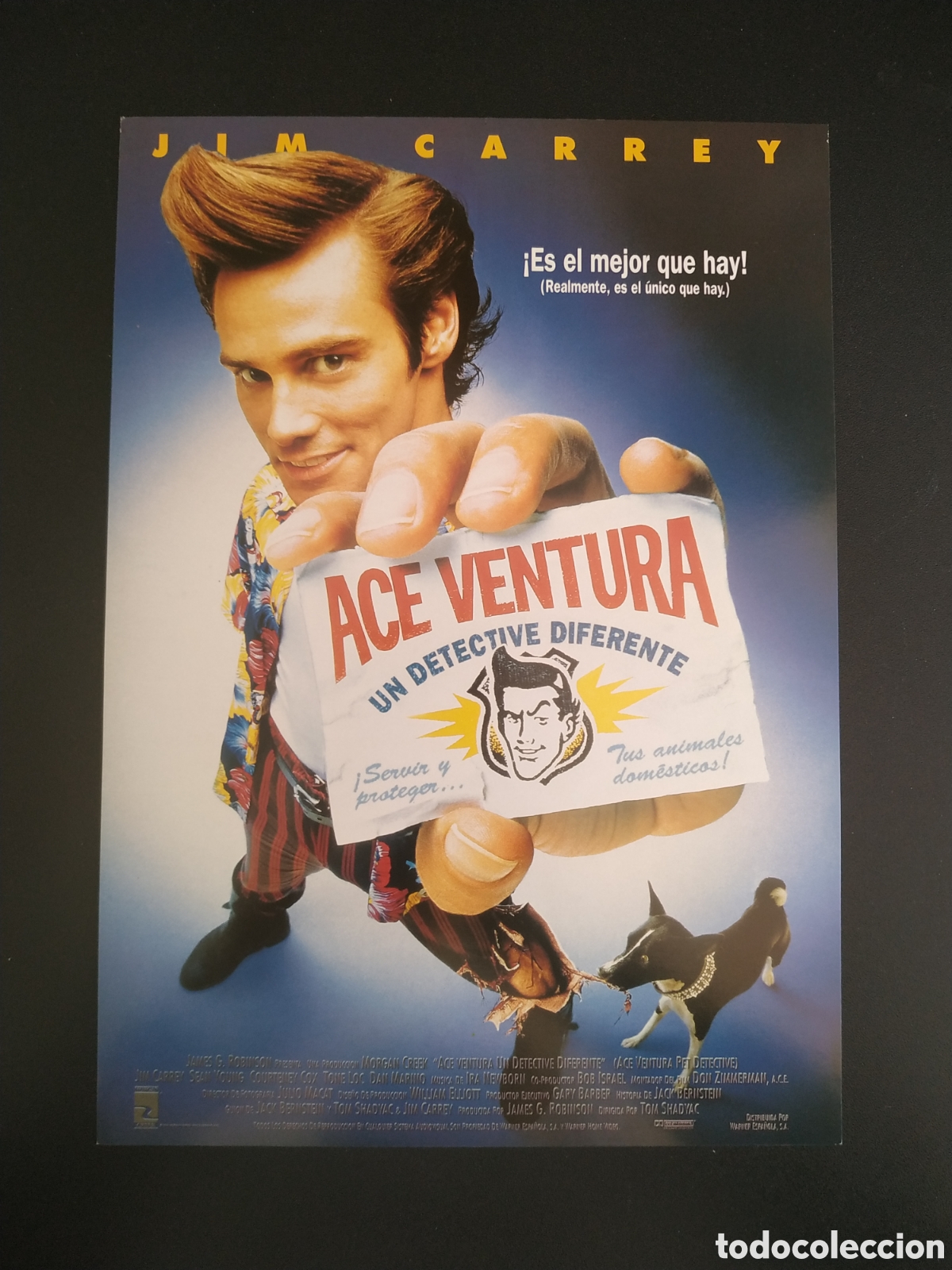 Cine: ACE VENTURA UN DETECTIVE DIFERENTE - JIM CARREY - MORGAN CREEK - GUIA DE CINE ORIGINAL- B106