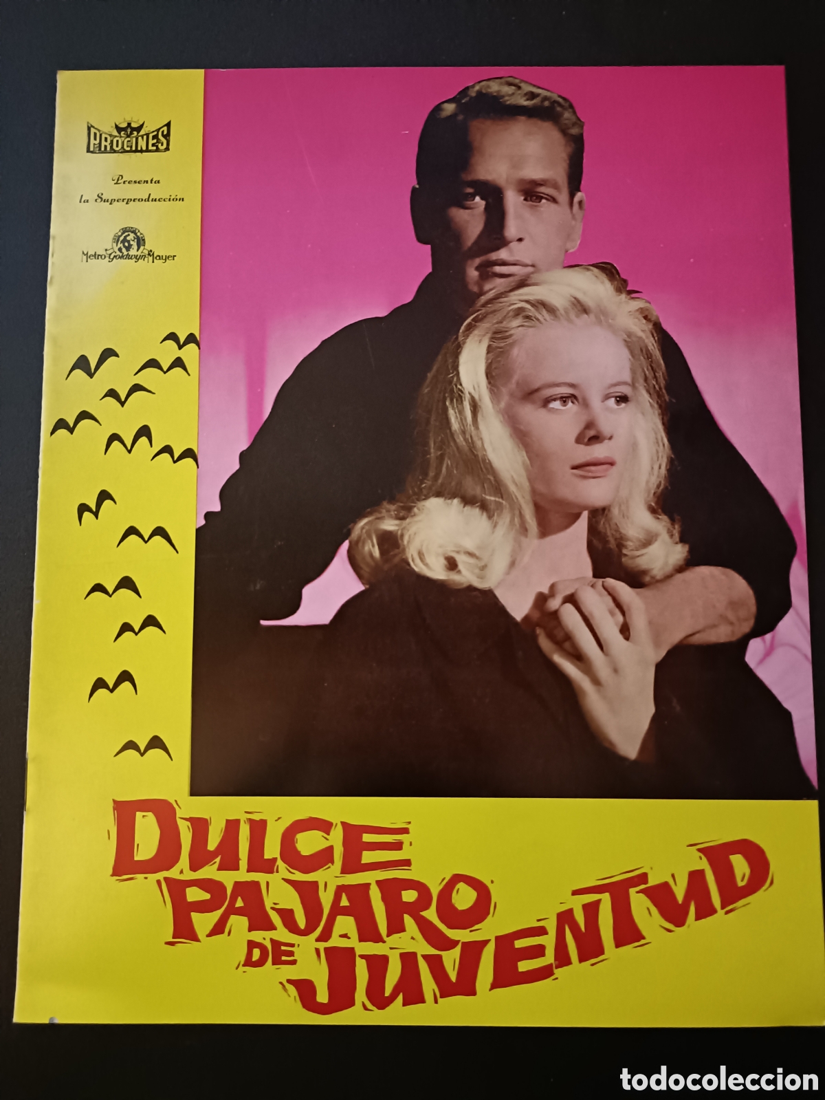 Cine: DULCE PAJARO DE JUVENTUD - PAUL NEWMAN Y GERALDINE PAGE - GU&Iacute;A ORIGINAL DE CINE - B118