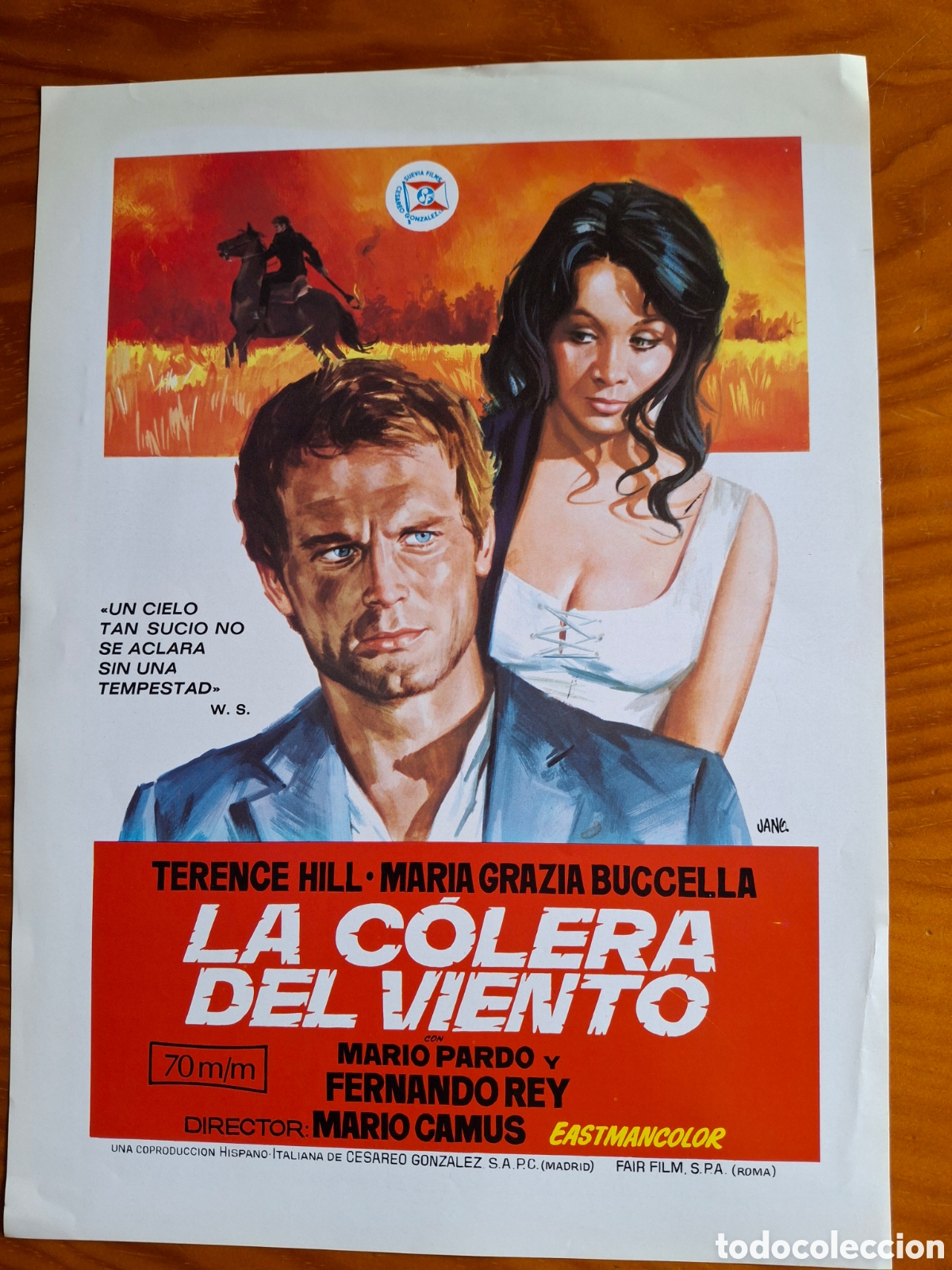 Cine: La c&oacute;lera del viento - Foto 1