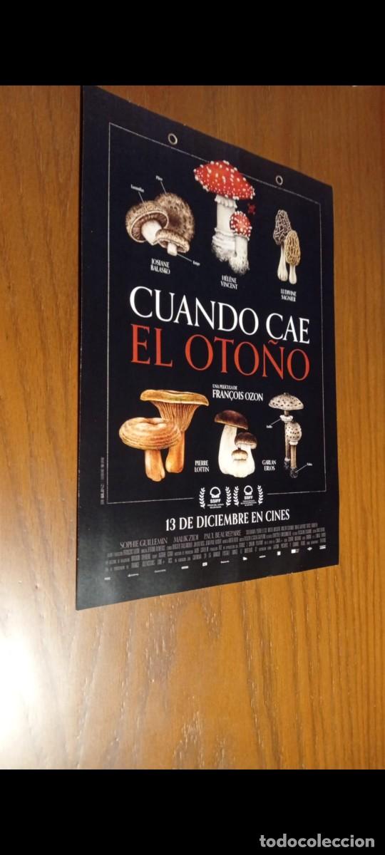 Cinema: Gu&iacute;a Cuando cae el oto&ntilde;o