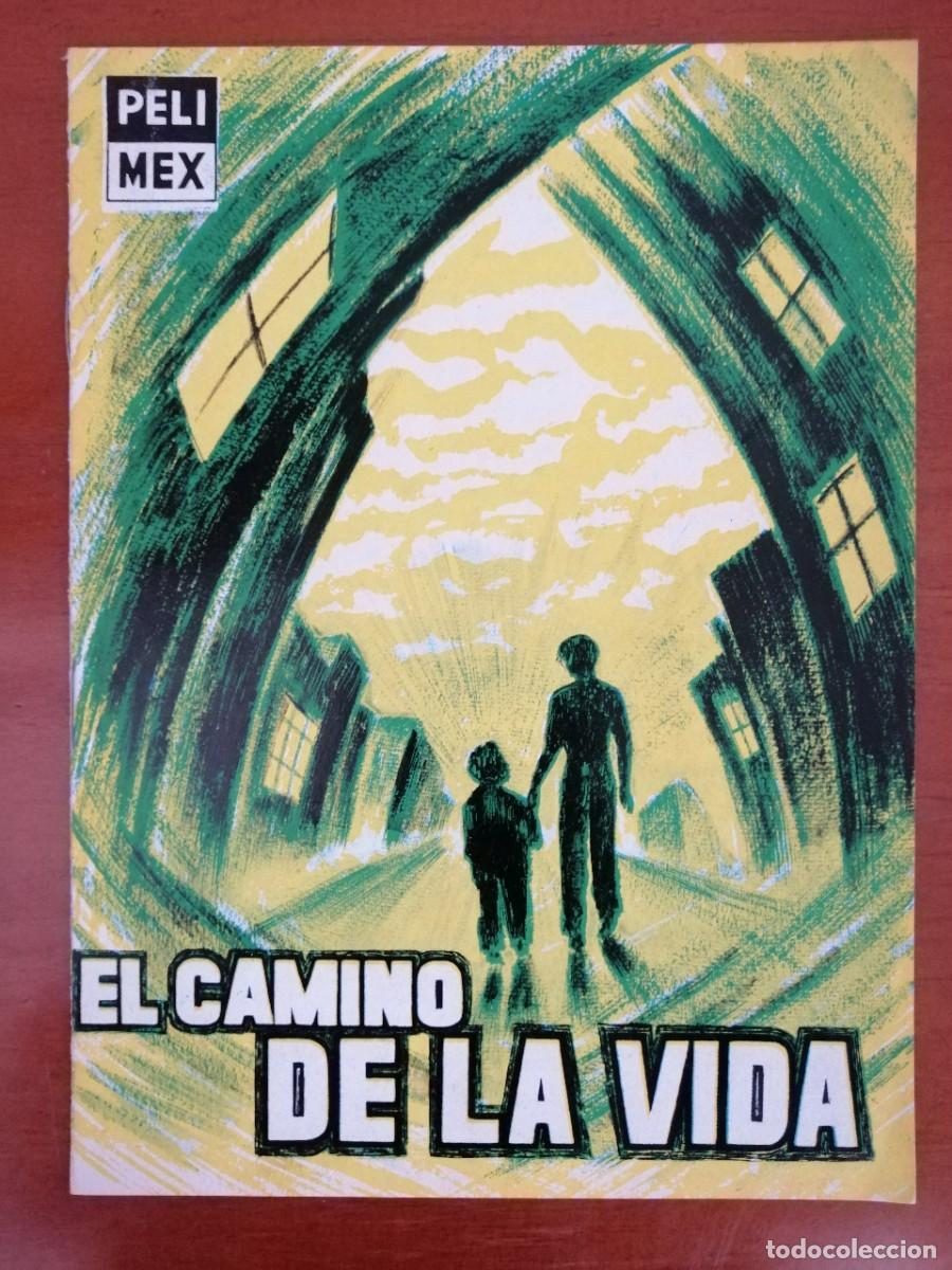 Cinema: G2773 EL CAMINO DE LA VIDA-LIBRO 8 PAGINAS