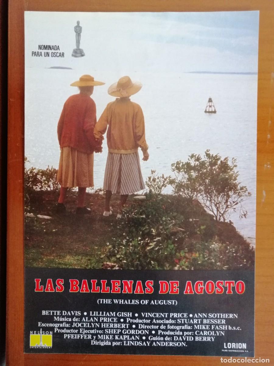 Cinema: G6950 LAS BALLENAS DE AGOSTO (THE WHALES OF AUGUST)-SENCILLO