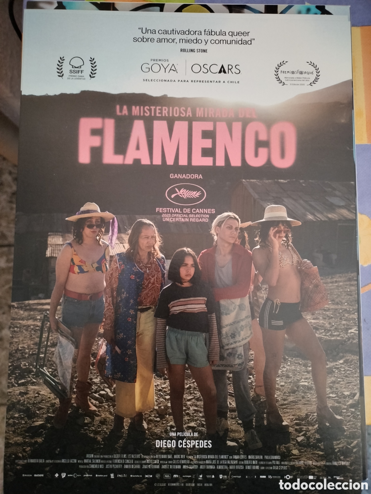 Cine: La Misteriosa Mirada del Flamenco. Guia Publicitaria