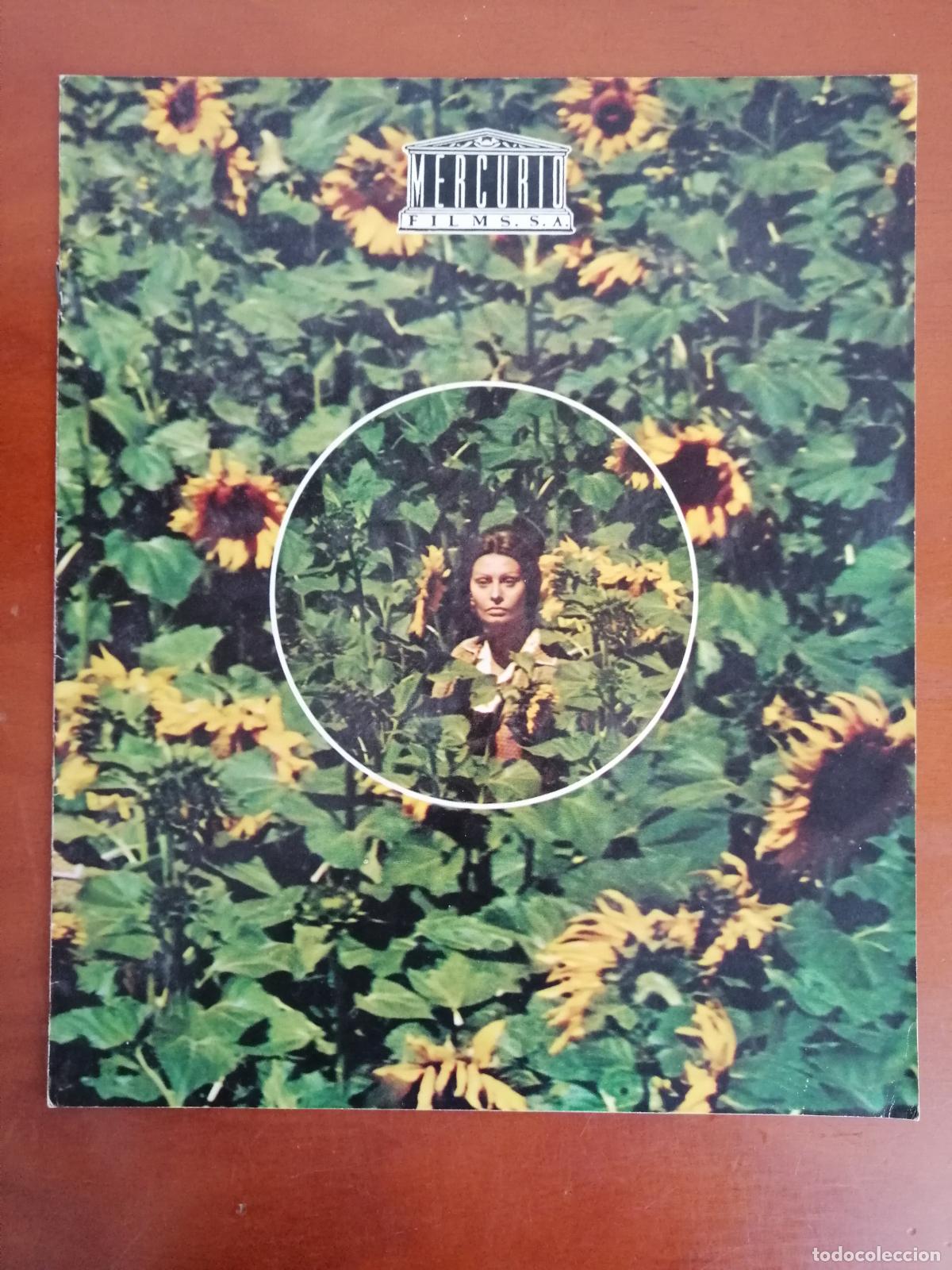 Cine: G7489 LOS GIRASOLES-LIBRO 8 PAGINAS