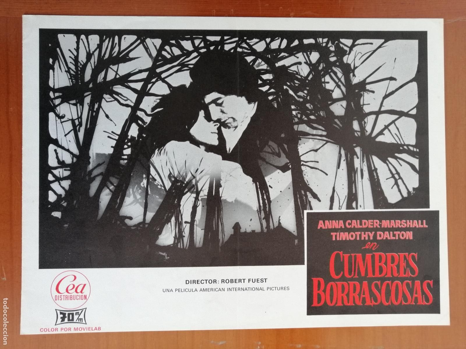 Cine: G2059 CUMBRES BORRASCOSAS-DOBLE