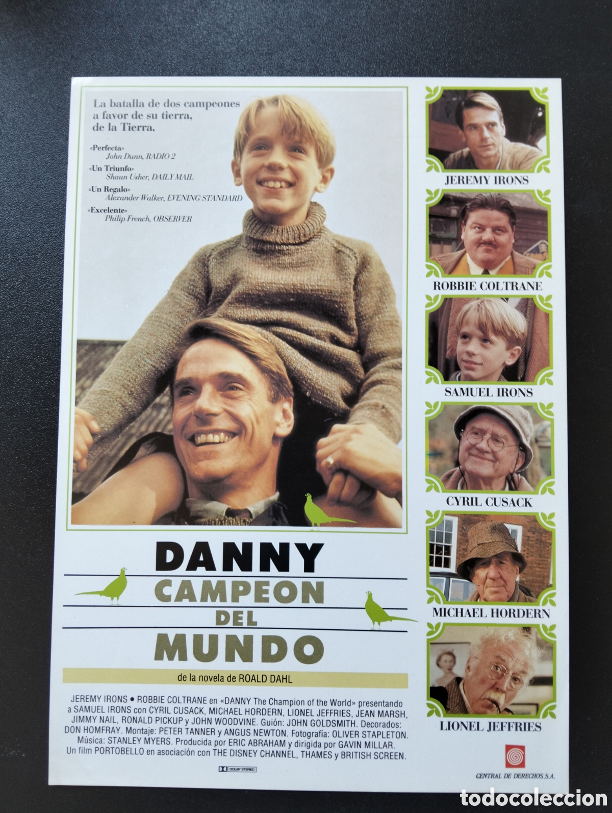 Cine: DANNY CAMPEON DEL MUNDO JEREMY IRONS GUIA CINE ORIGINAL CA75