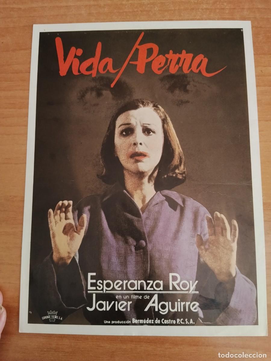 Cinema: G33--GUIA DE LA PELICULA---VIDA PERRA
