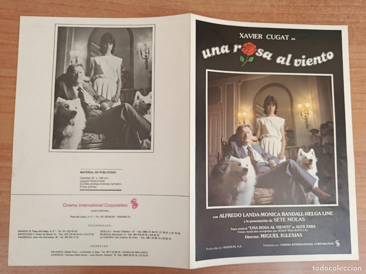 Cine: G33--GUIA DE LA PELICULA---UNA ROSA AL VIENTO
