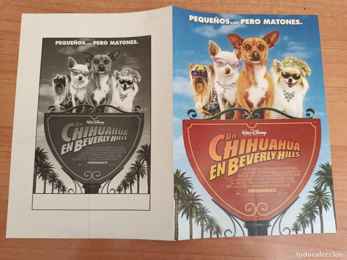 Cine: G34--GUIA DE LA PELICULA--- UN CHIHUAHUA EN BEVERLY HILLS