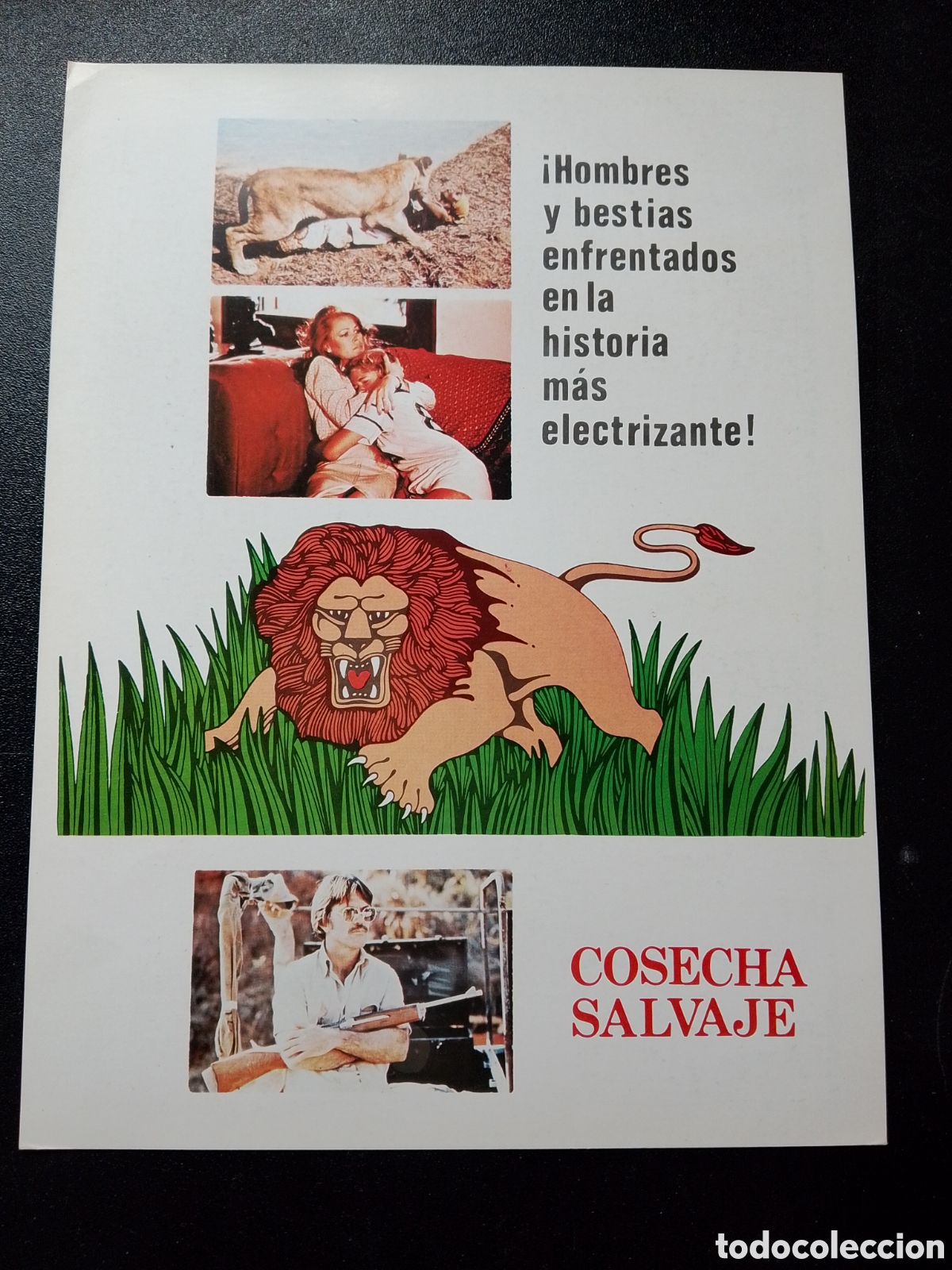 Cine: Cosecha salvaje - Tom Skerritt, Michelle Phillips, Shawn Stevens GUIA DE CINE ORIGINAL CA85