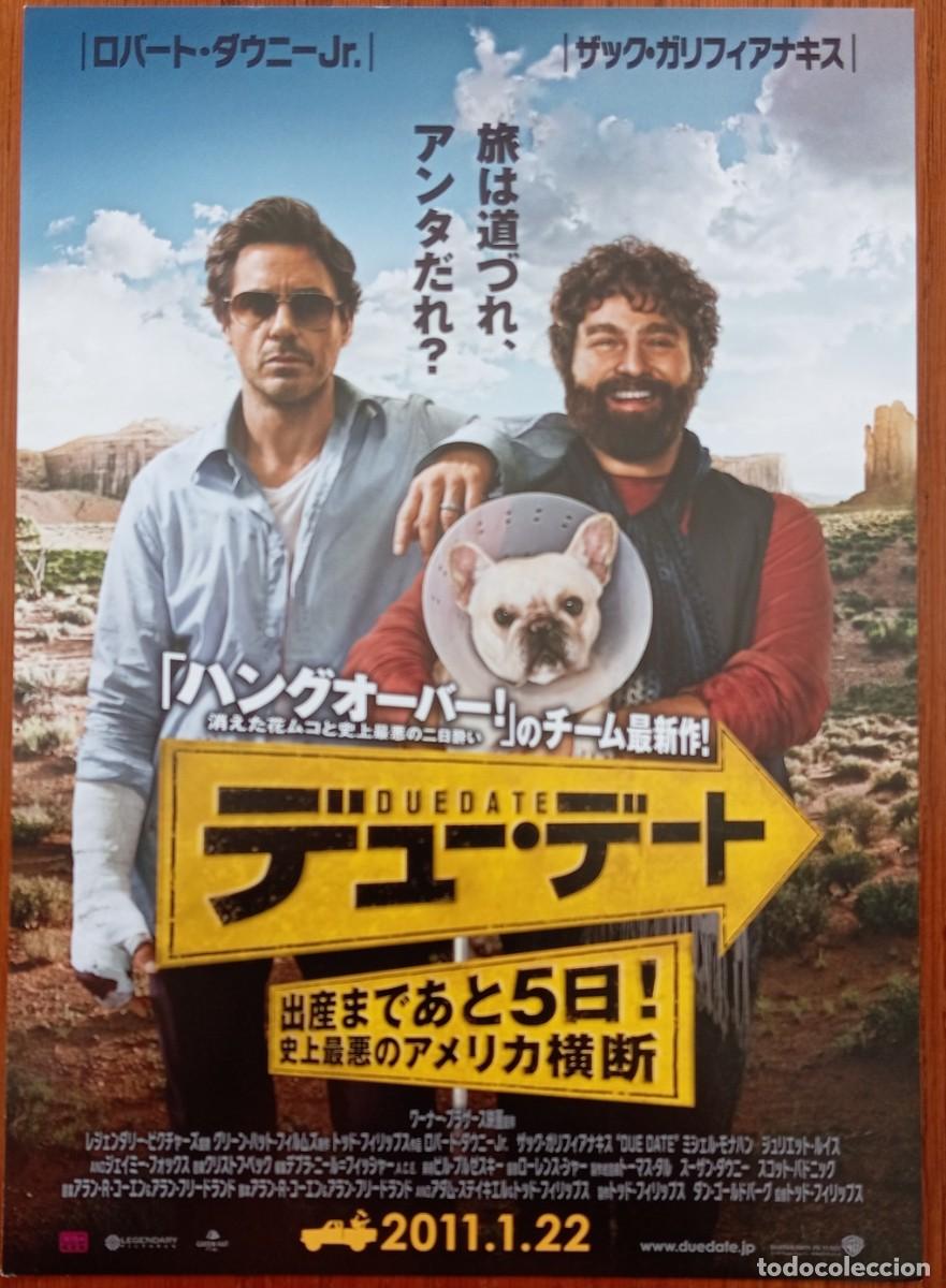 Cine: Gu&iacute;a japonesa programa de mano japon&eacute;s SALIDOS DE CUENTAS. Todd Phillips, Robert Downey Jr,