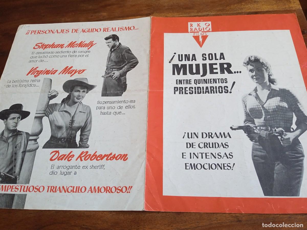 Cine: Noche Salvaje - Virginia Mayo, Dale Robertson, Stephen Mcnally - Guia original RKO Films 1954