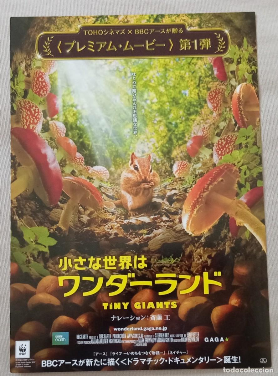 Cine: Gu&iacute;a japonesa programa flyer japon&eacute;s TINY GIANTS. Mark Brownlow. Documental naturaleza. JAP&Oacute;N, JAPAN