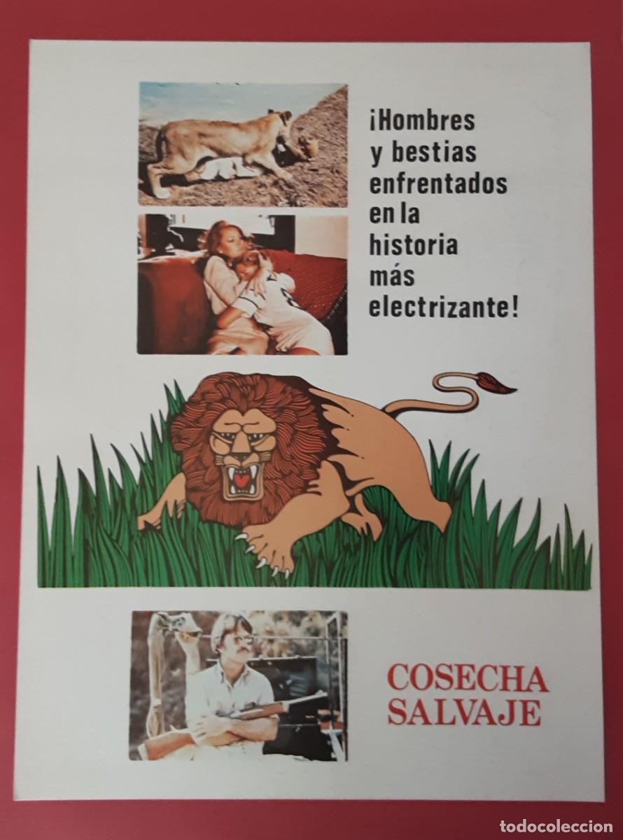 Cine: COSECHA SALVAJE, TOM SKERRIT, MICHELLE PHILLIPS.