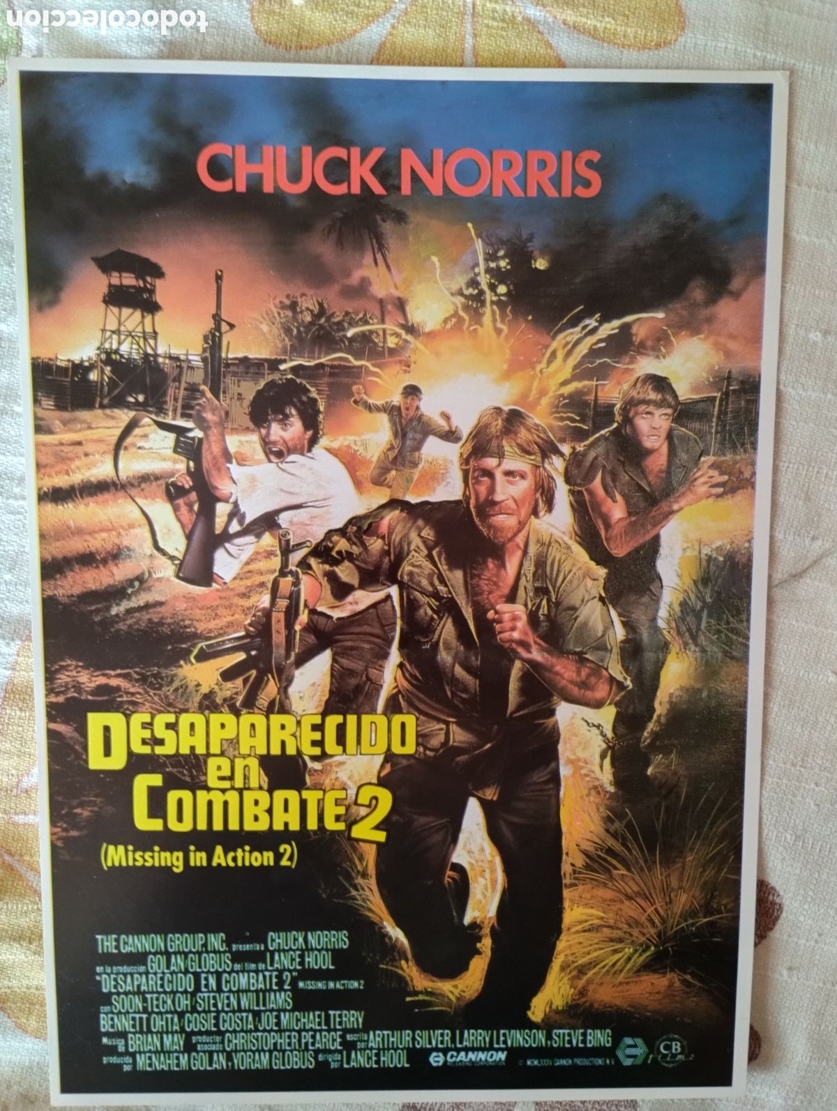 Cine: GUIA SIMPLE - DESAPARECIDO EN COMBATE 2
