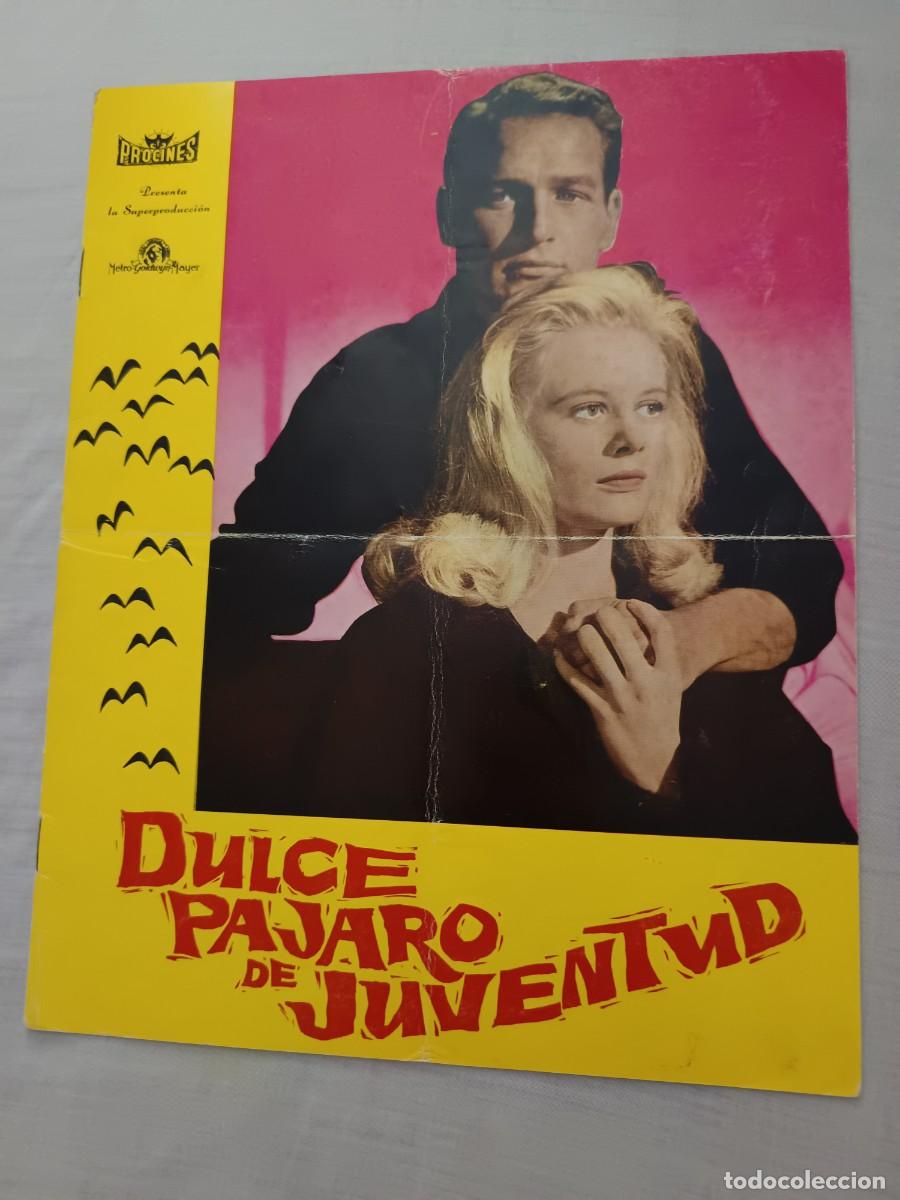 Cine: GUIA DE CINE 12 PAGINAS DULCE PAJARO DE JUVENTUD PAUL NEWMAN