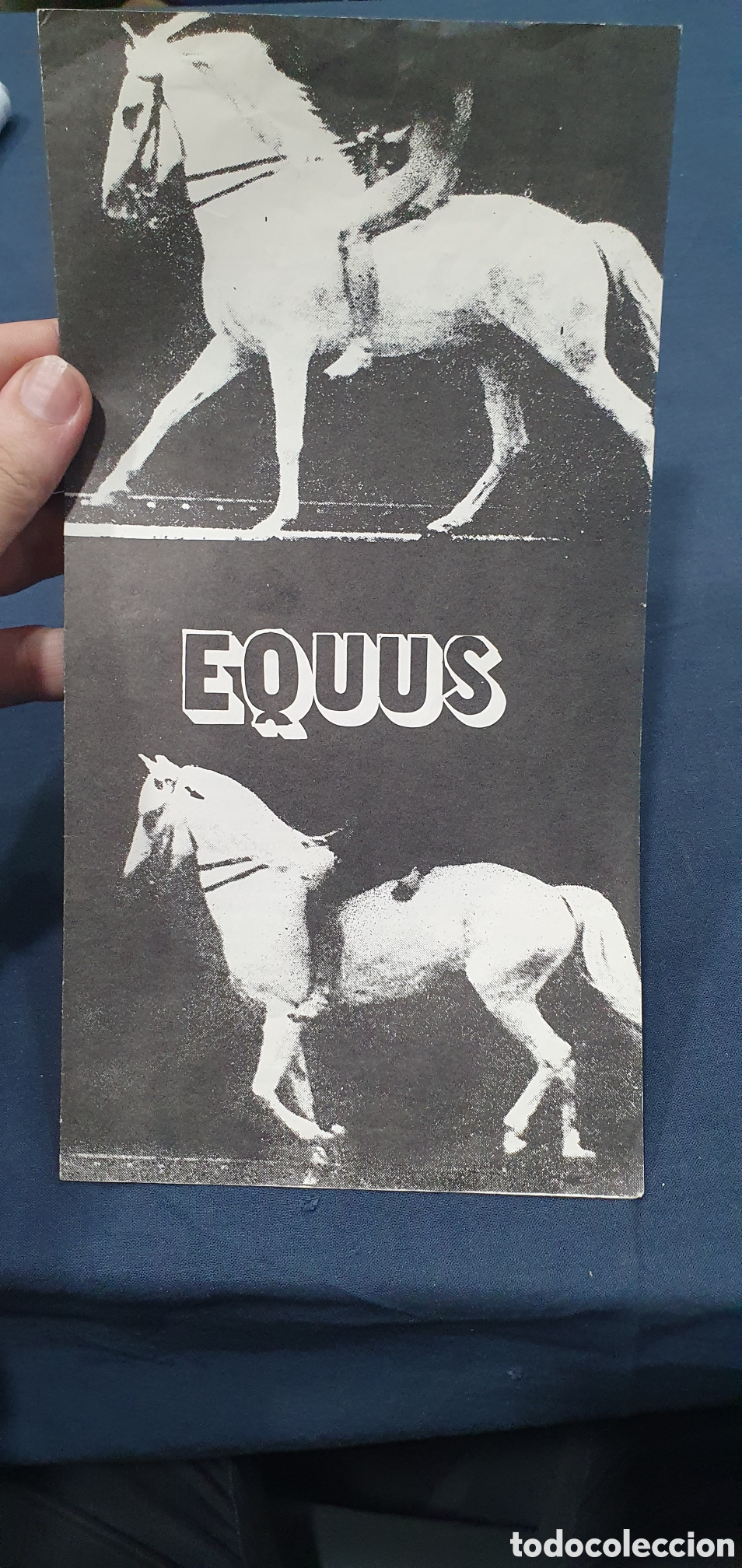 Cinema: Folleto pel&iacute;cula Equus. (L137)
