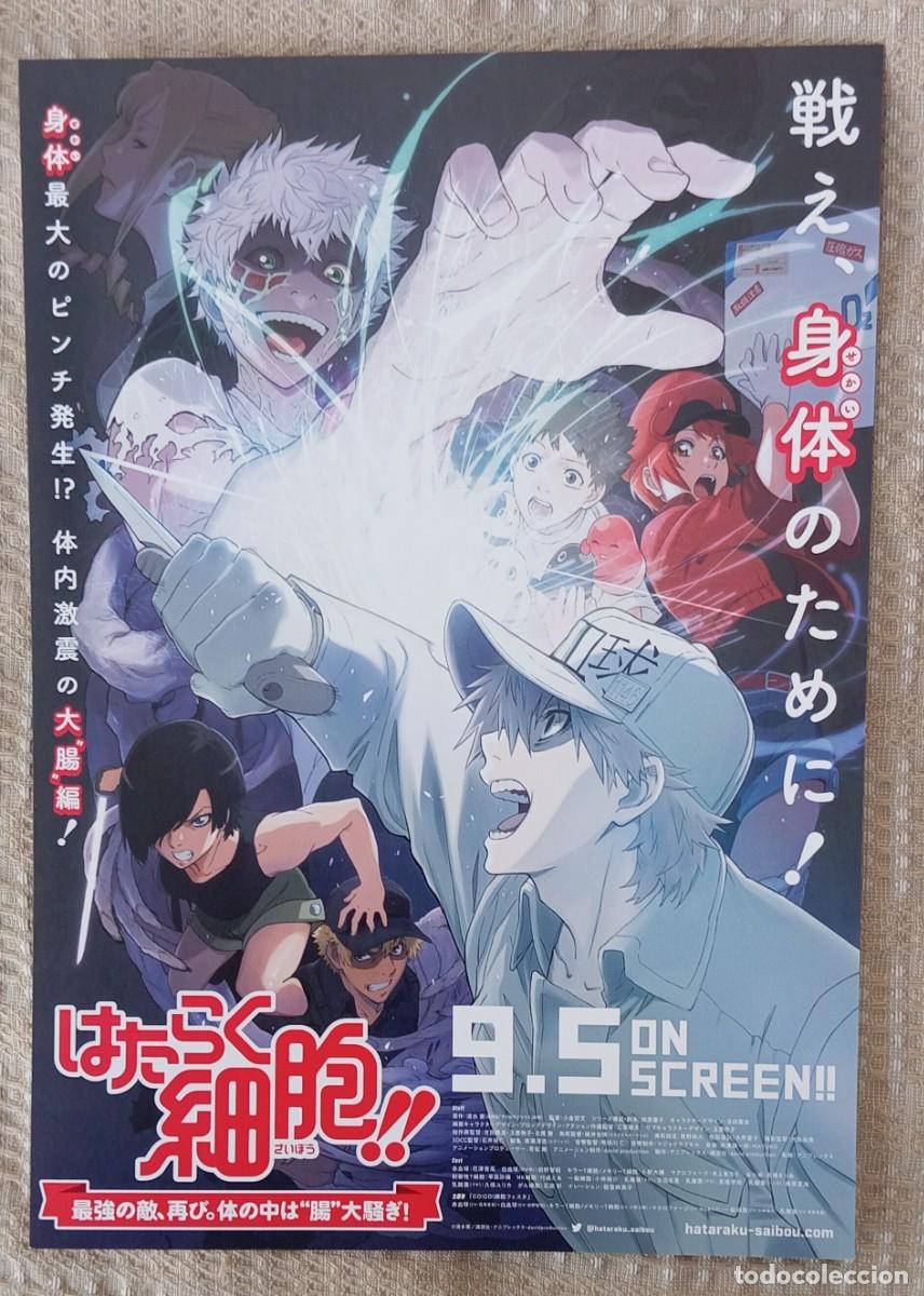 Cine: Gu&iacute;a japonesa programa flyer japon&eacute;s CELLS AT WORK. Hirofumi Ogura. Animaci&oacute;n manga medicina. Jap&oacute;n