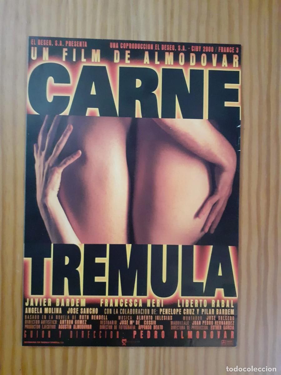 Cine: Gu&iacute;a / Dossier De Prensa Original: Carne Tr&eacute;mula (1997) - Pedro Almod&oacute;var / Bardem, Cruz (30x21cm)