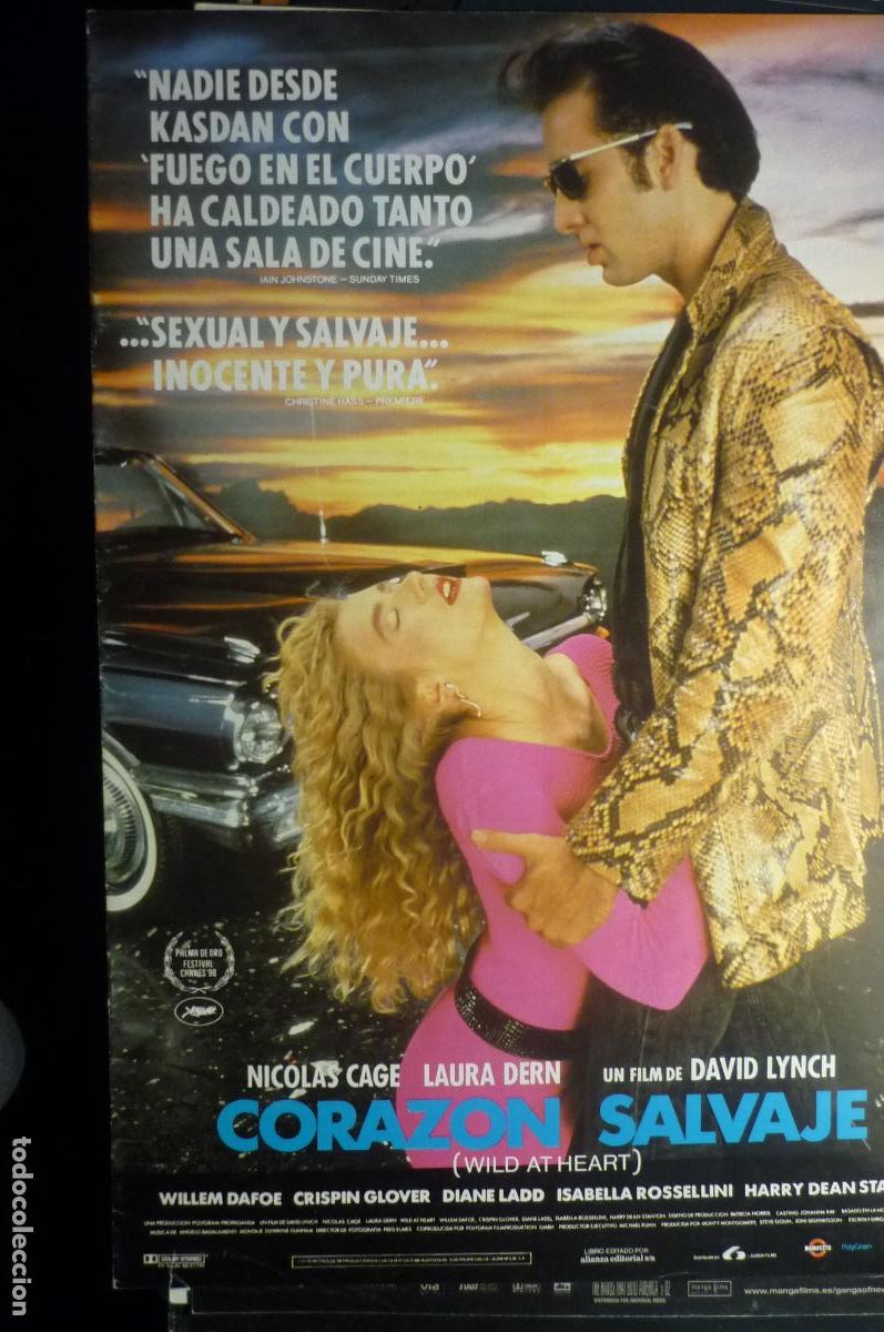 Kino: guia 8 pag corazon salvaje ,.nicolas cage