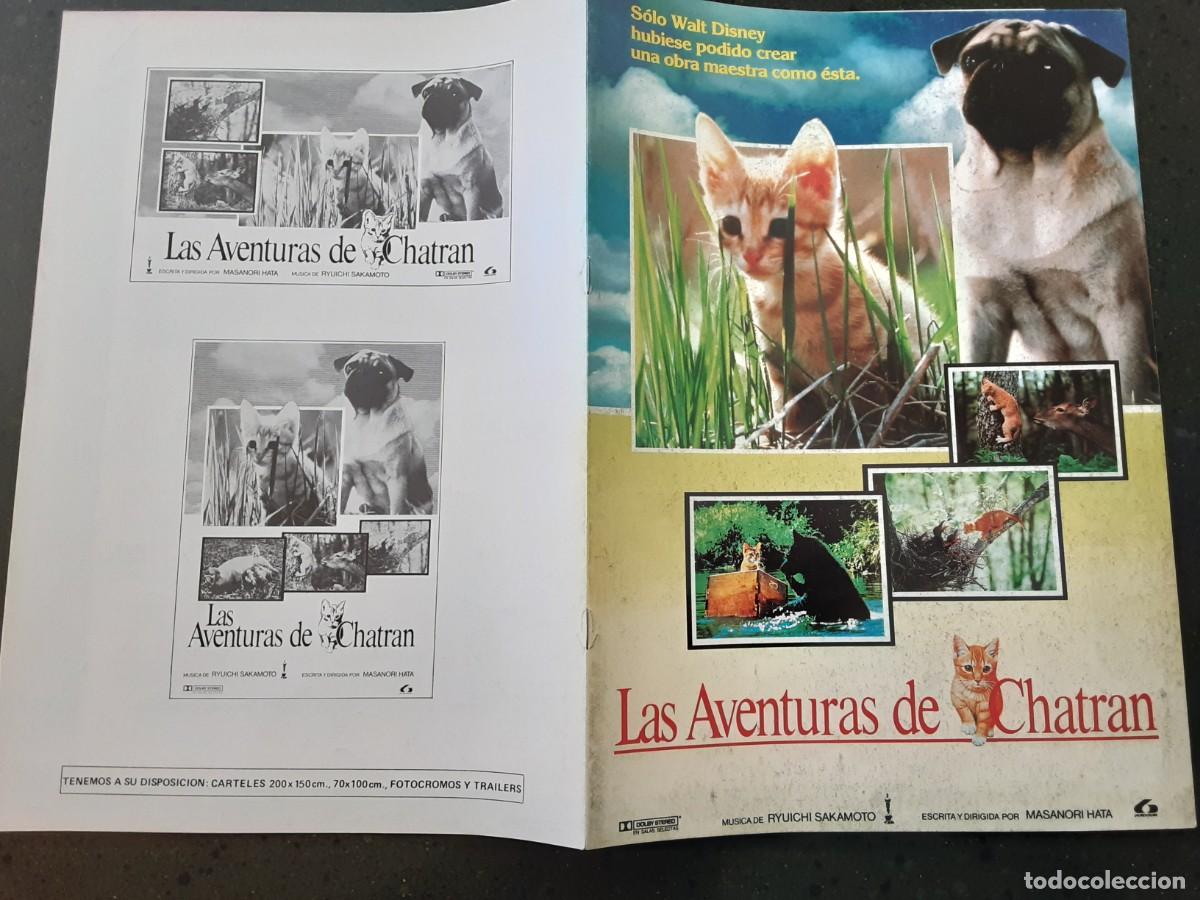 Cine: Las aventuras de Chatran, pel&iacute;cula japonesa